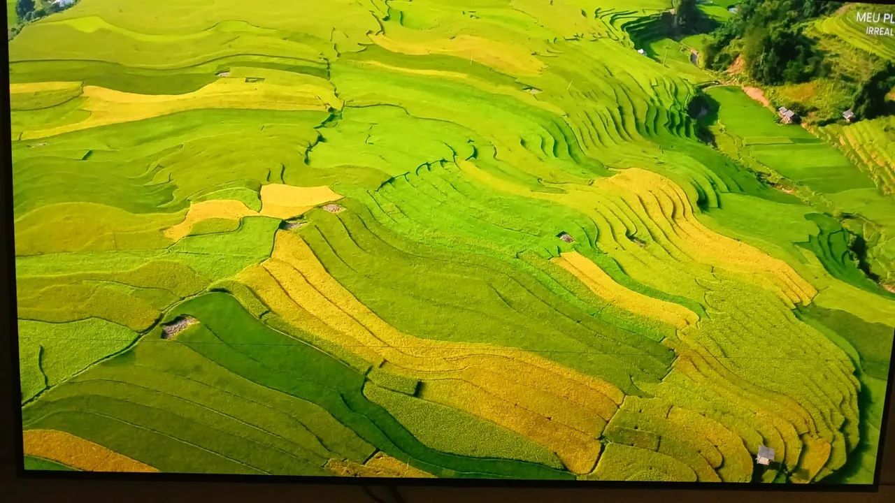 Tv OLED 65 - Foto 5