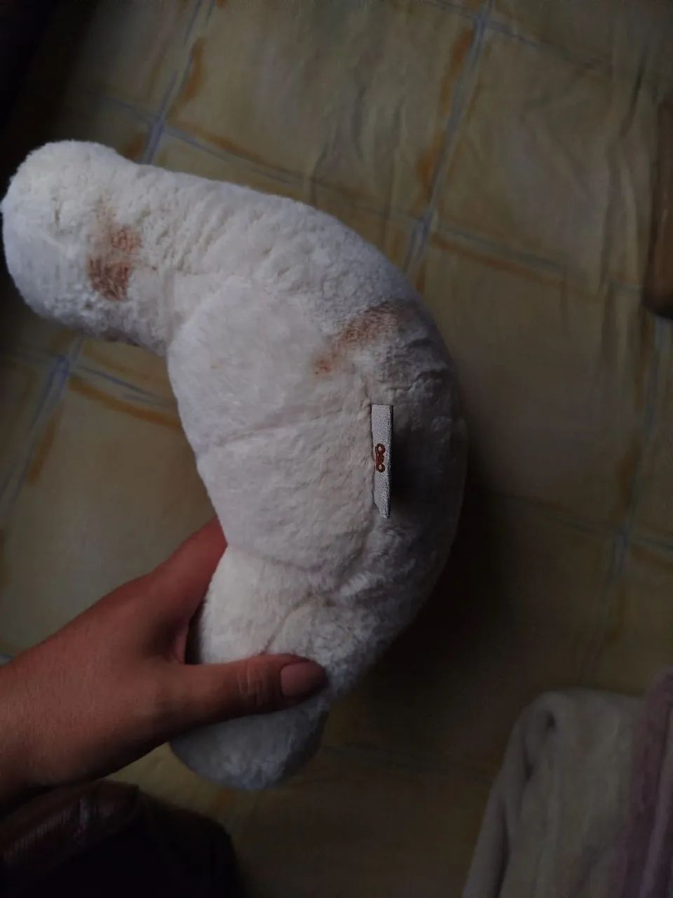 Urso de pelúcia  - Foto 4