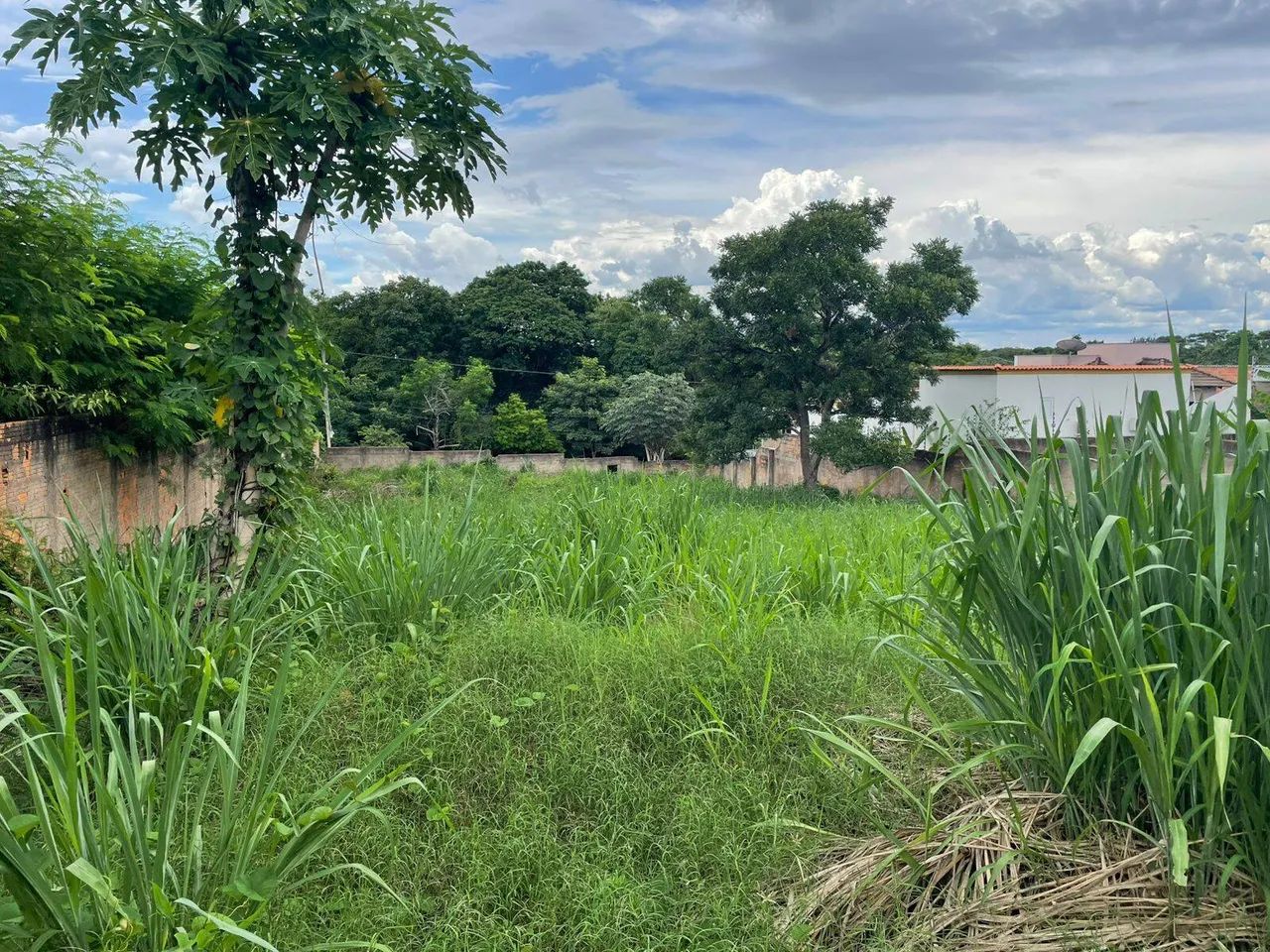 Terreno a venda no bairro Santa Marta! - Foto 4