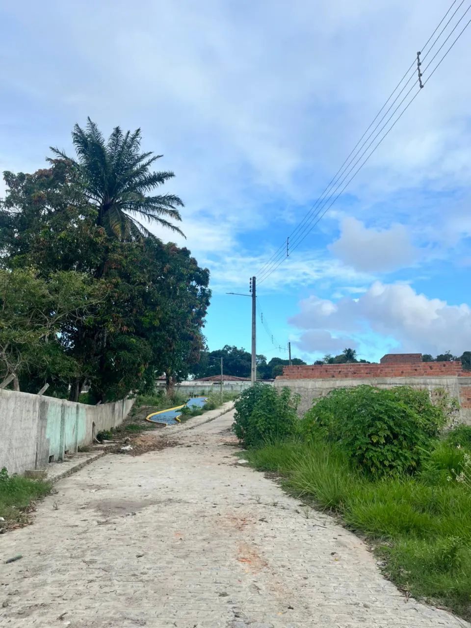 Repasse de terreno em Pilar/al - Foto 3