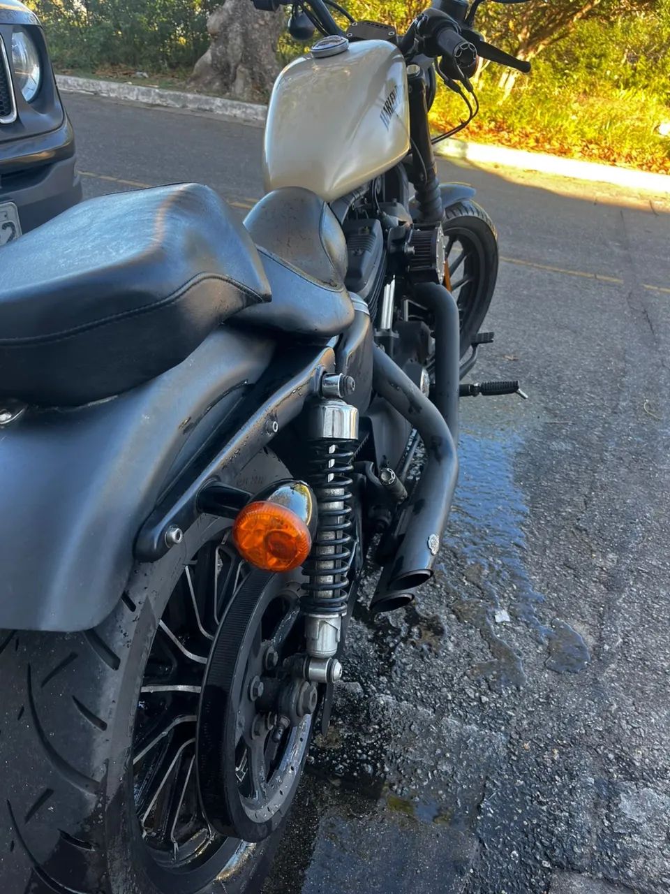 883 Iron - Foto 2