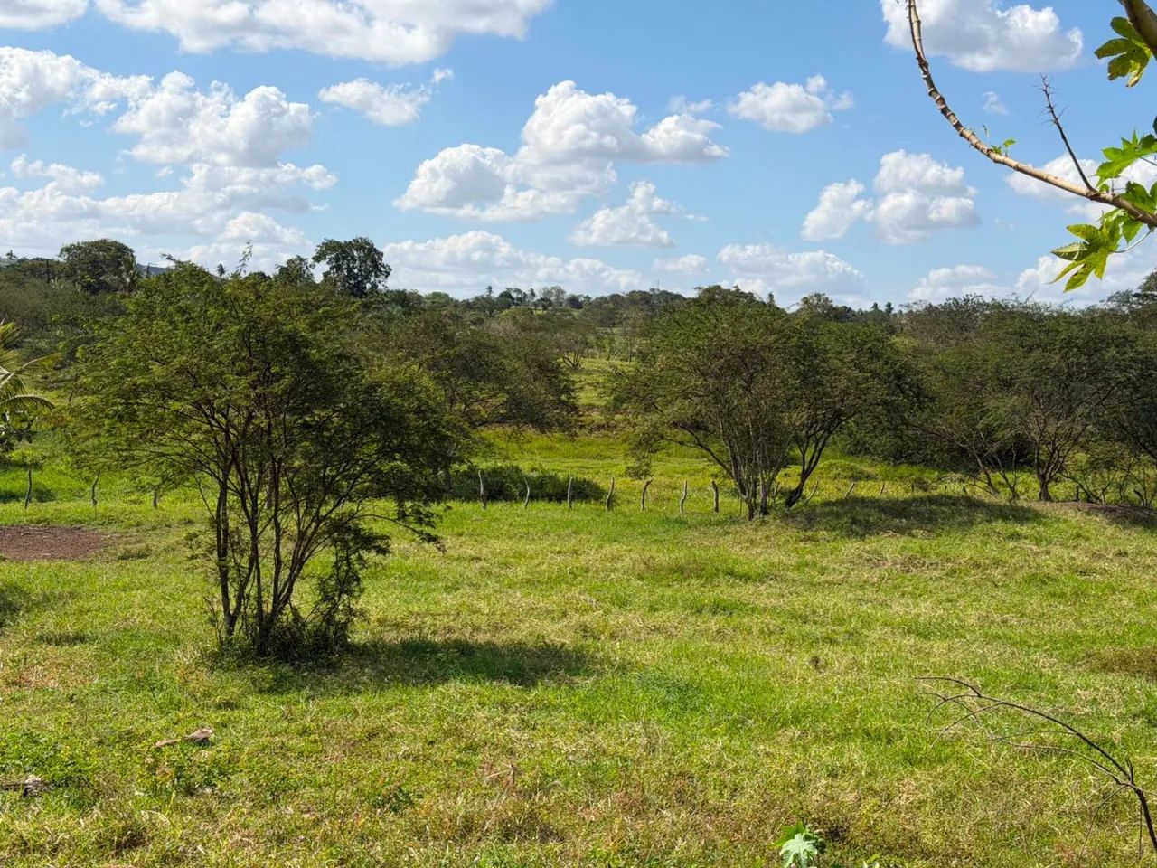 SÍTIO À VENDA  POVOADO CAATINGA REDONDA - Foto 2