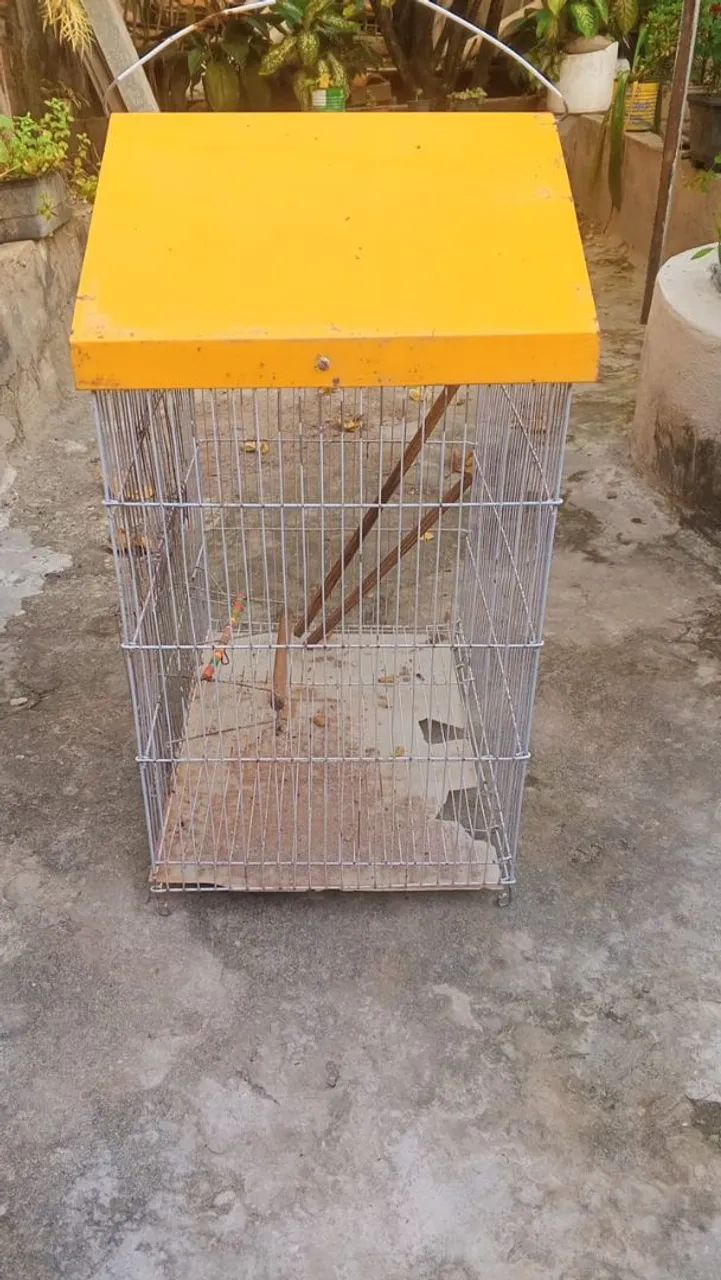 Venda - Foto 4