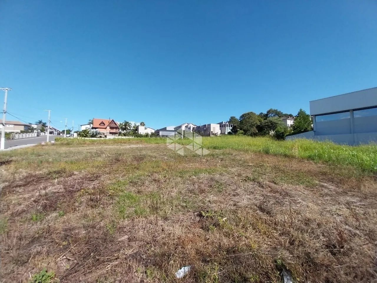Terreno com 1200m² - Foto 3
