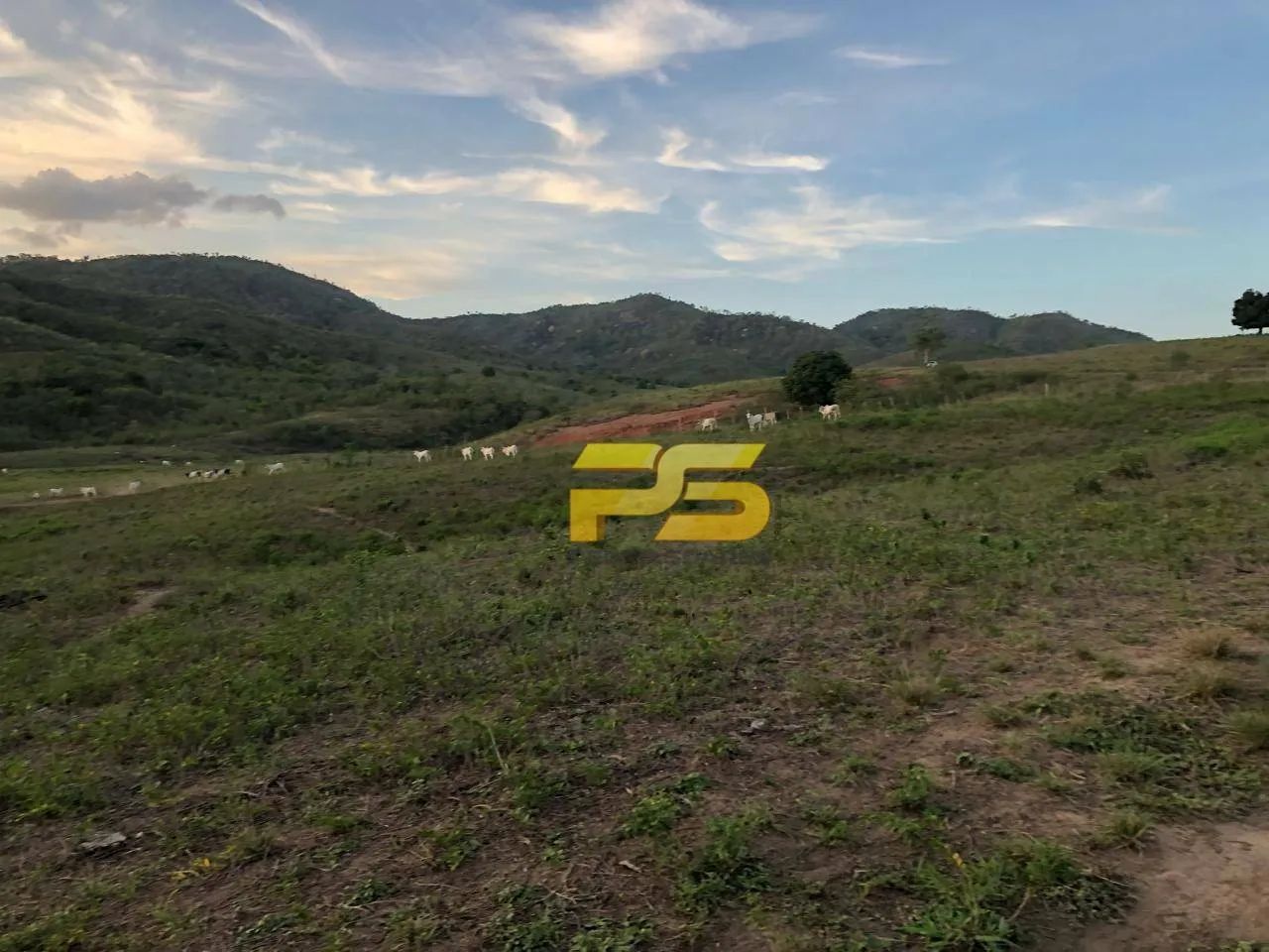FAZENDA À VENDA  GUARABIRA / CUITEGI  PB - Foto 5