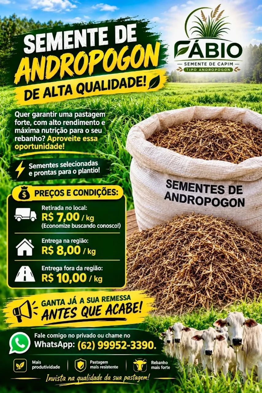 SEMENTE ANDROPOGON  - Foto 4