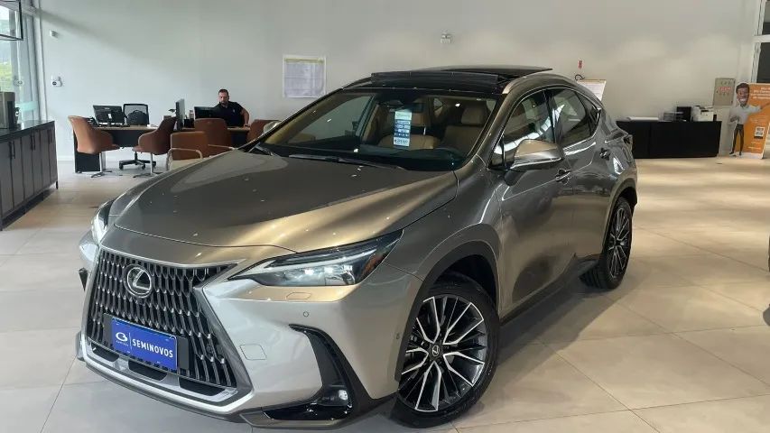 Lexus NX-450h+ AWD 2.5 16V Aut. (Híbrido), foto 2 de 15