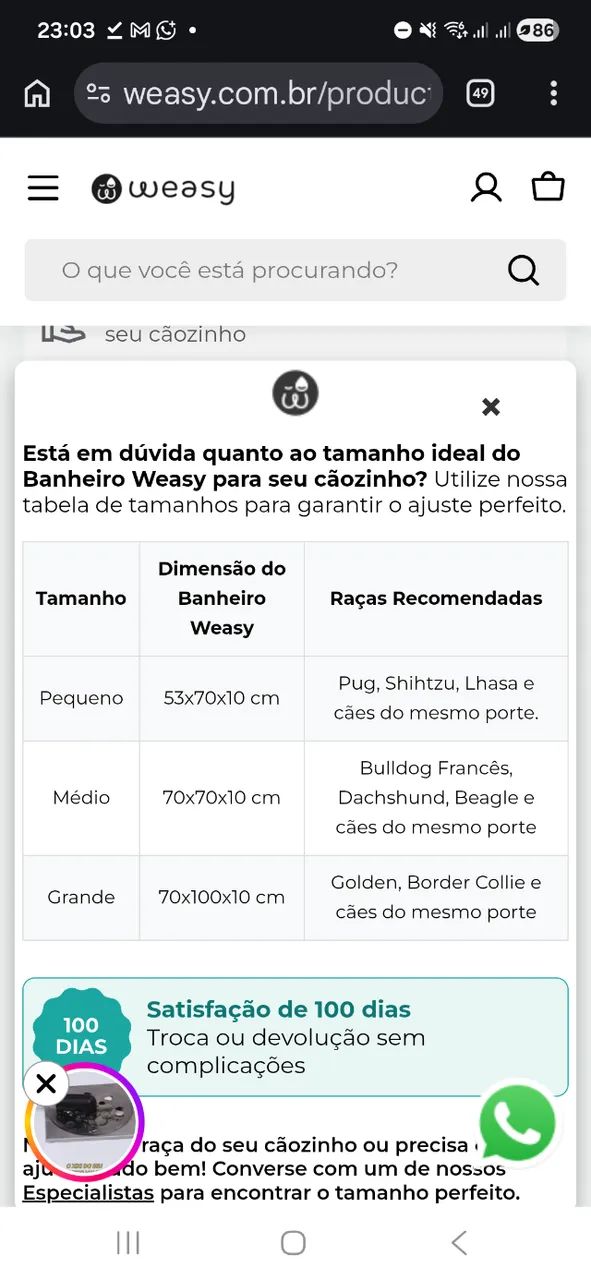 Weasy441091332108472323