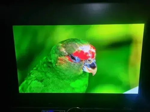 Tv Lg C2 Oled Hdr De 42 Polegadas Oled42c2psa Com Caixa - Foto 3