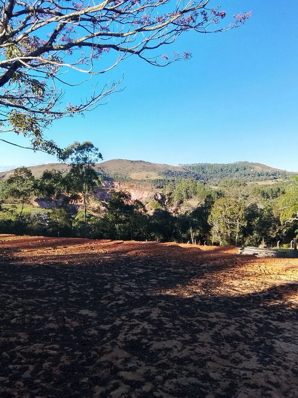 Chácaras/terrenos  a venda 