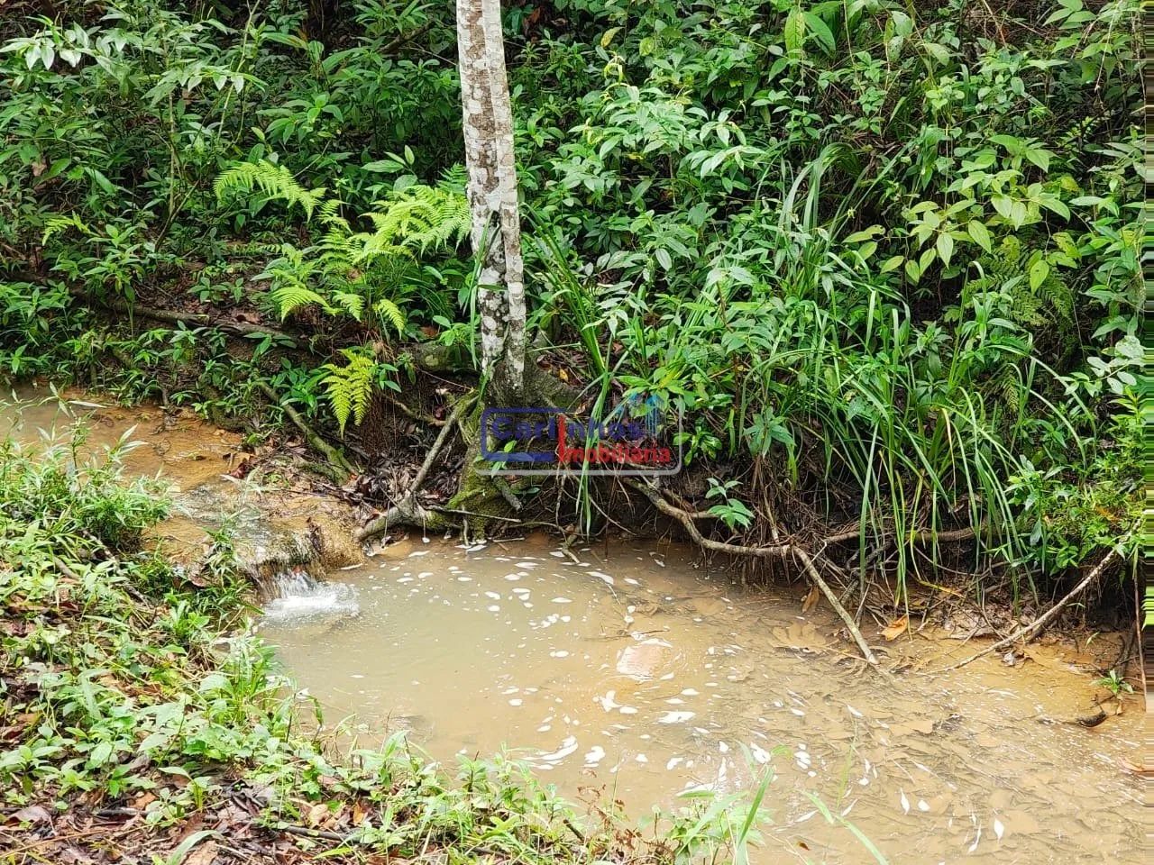 Fazenda à venda em Pará de Minas - Foto 5