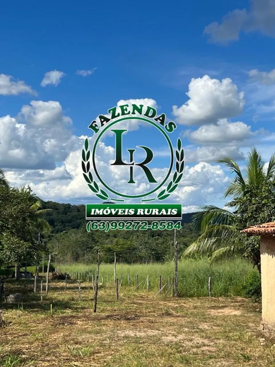 Fazenda  Dupla Aptidão 348 Hectares Região Almas - Foto 4