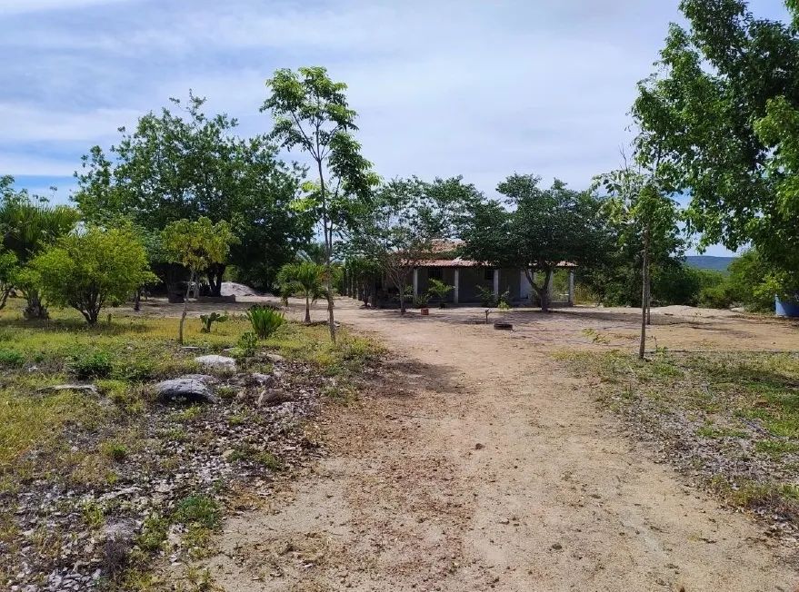 Imóvel Rural, 76ha, Sertânia/PE - Foto 3