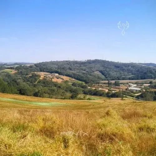 Seu Espaço no Campo Está Aqui. Venha Conhecer! - Foto 6