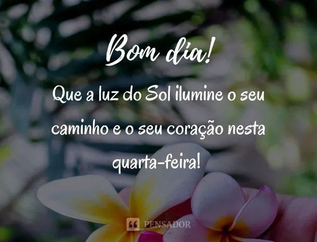 Foto - Belém - Umarizal