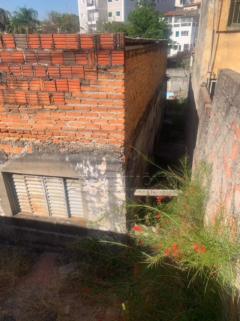 TERRENO VILA ADÉLIA - Foto 4