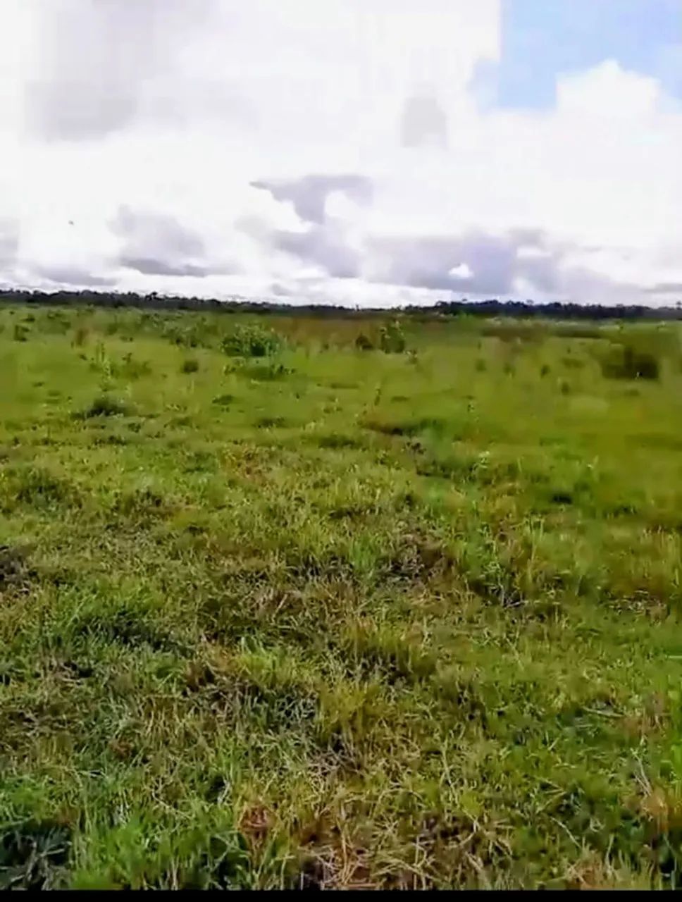 OPORTUNIDADE DE INVESTIMENTO NA BR-230 AMAZONAS - Foto 3