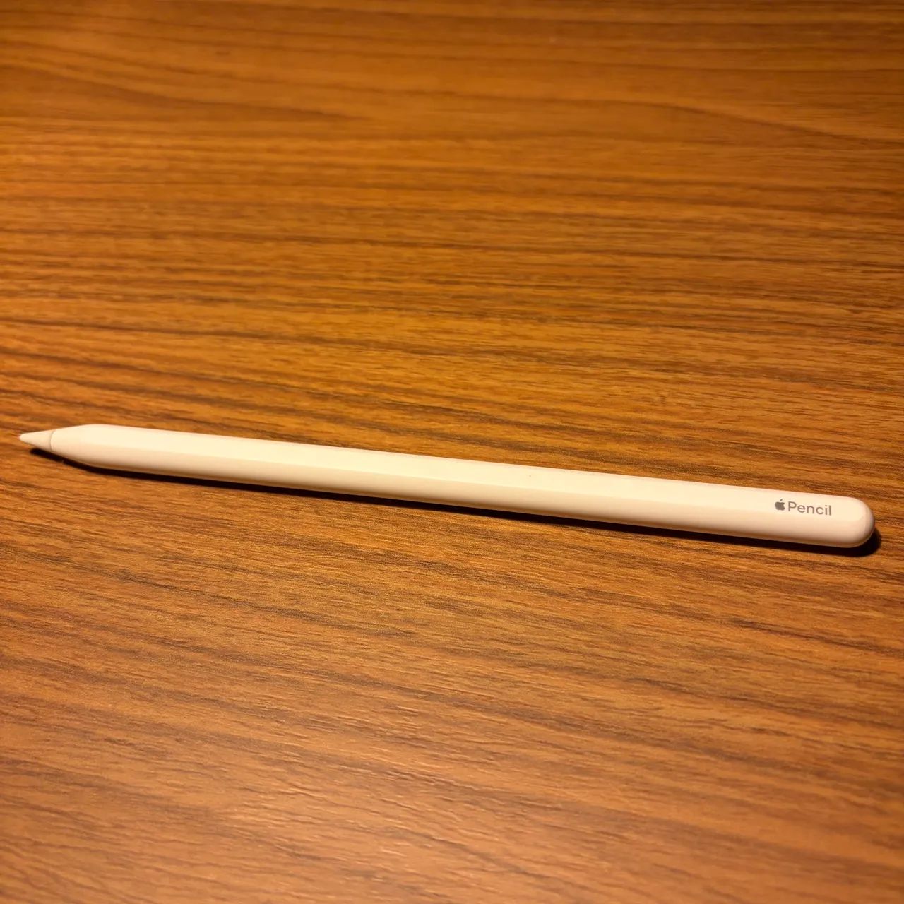 Apple Pencil 2ª Geração Original 