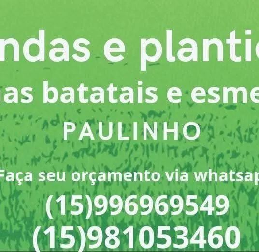 Vende se grama batatais  - Foto 3