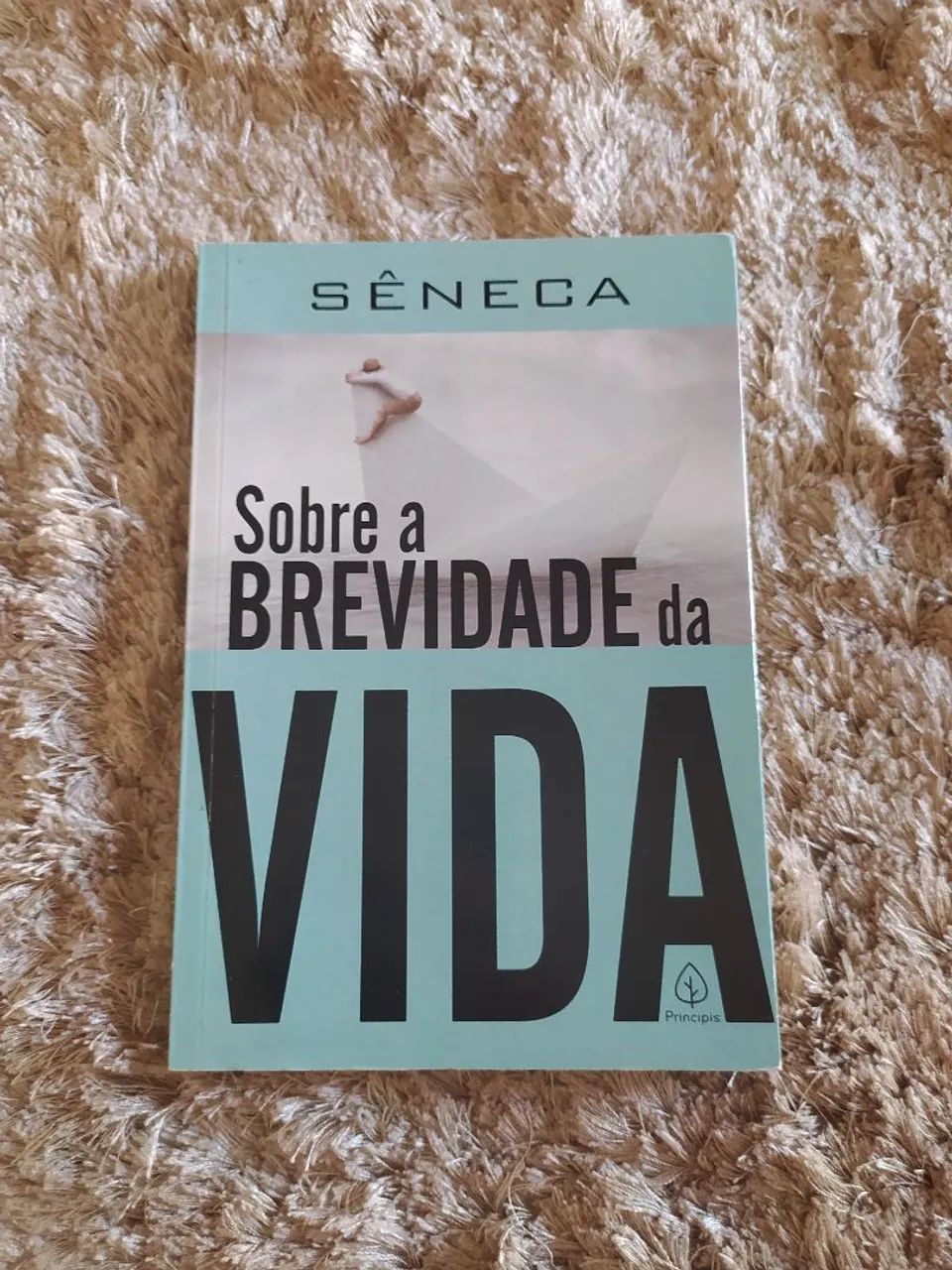 Livro Sobre a brevidade da vida 