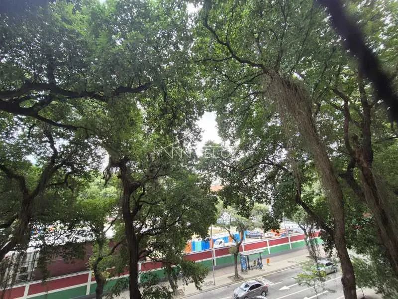 Apartamento - Padrão / Residencial / Laranjeiras - Foto 5