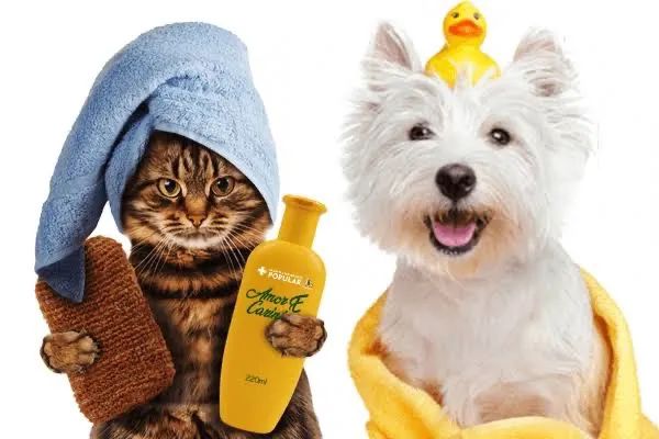 Vaga de emprego : Tosador (a) - banhista  