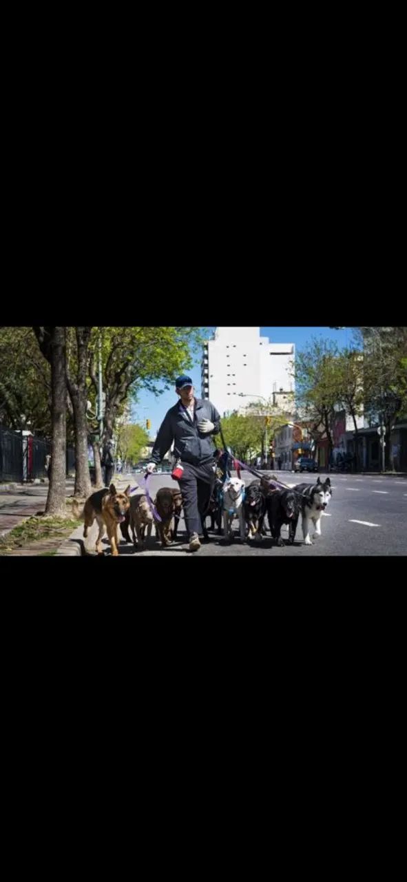 Seu cão feliz e bem cuidado  ? - Foto 3