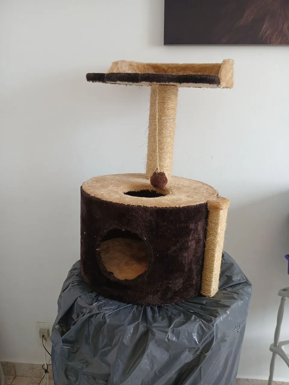 Casa de gatos em perfeito estado - Foto 4