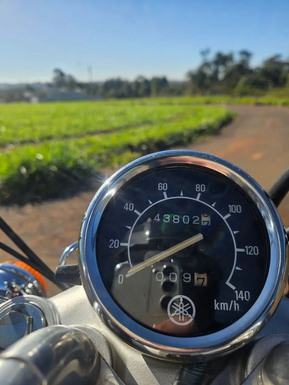 Yamaha Virago 2001 (Conservada) - Foto 4