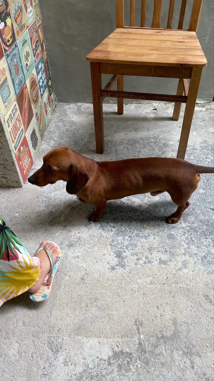 Procuro uma namorada  - Foto 2
