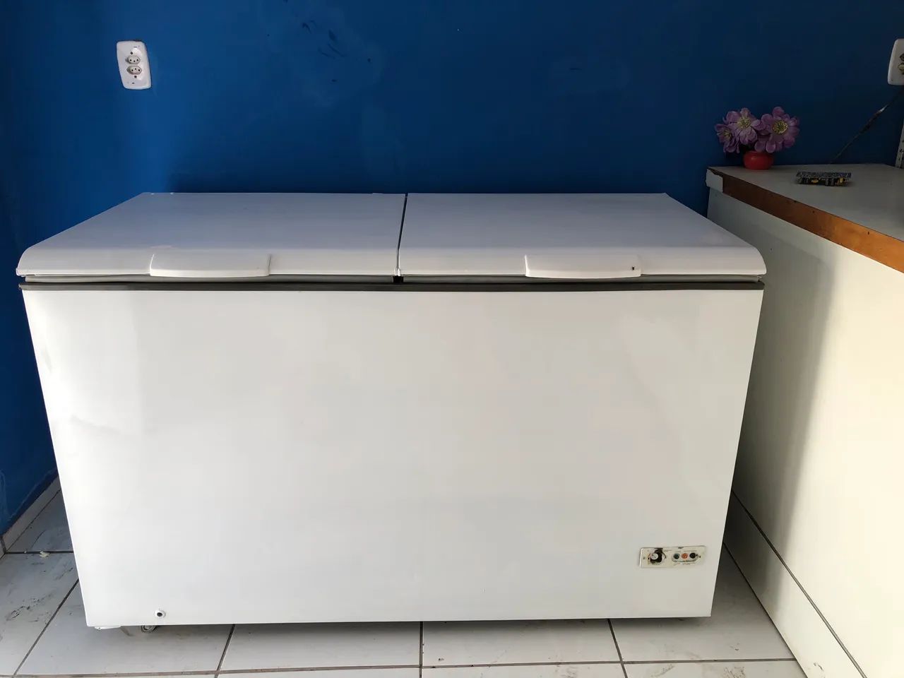 Freezer consul horizontal 