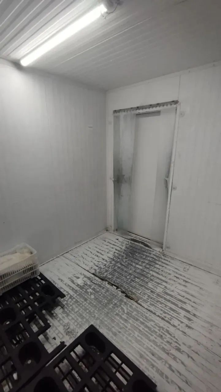 Câmara Congelada - Foto 4
