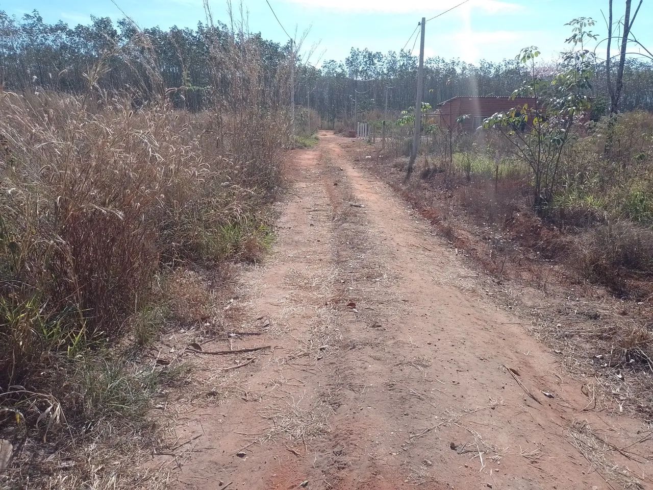 Lote  - Foto 3
