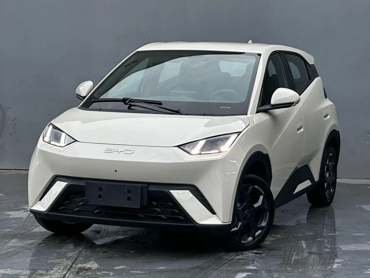 BYD Dolphin Mini (Elétrico) 2027 - Foto 2