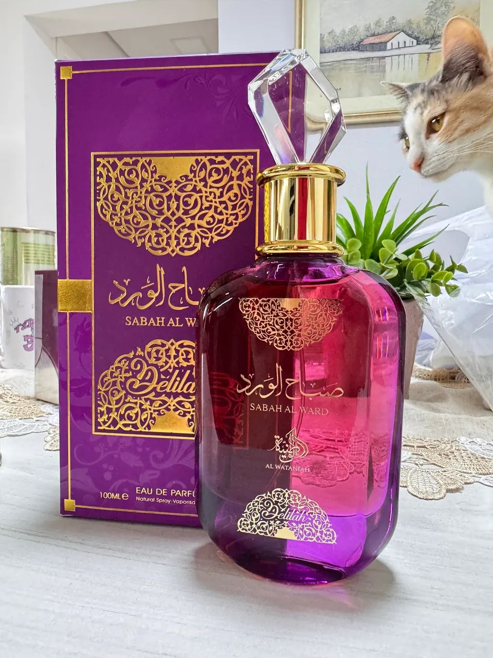 perfume árabe NOVO 