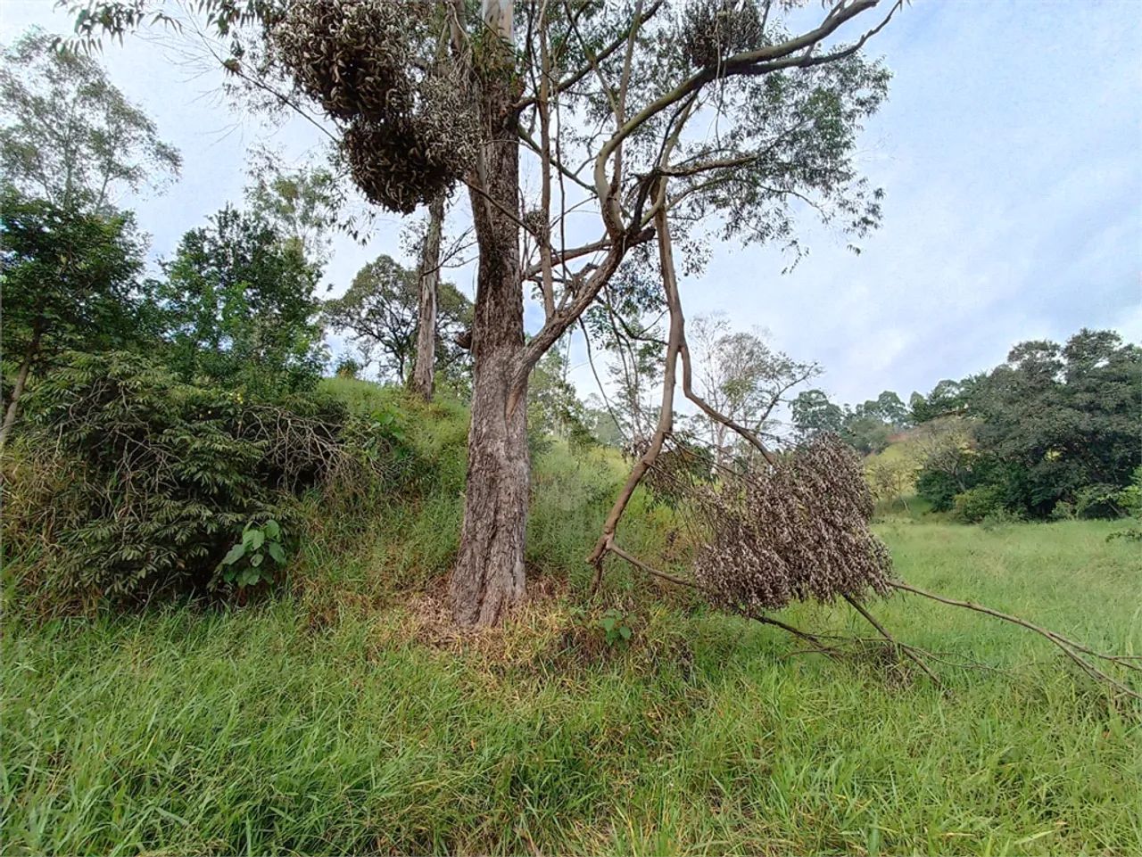 Terreno à venda em Jardim monte santo - SP - Foto 4