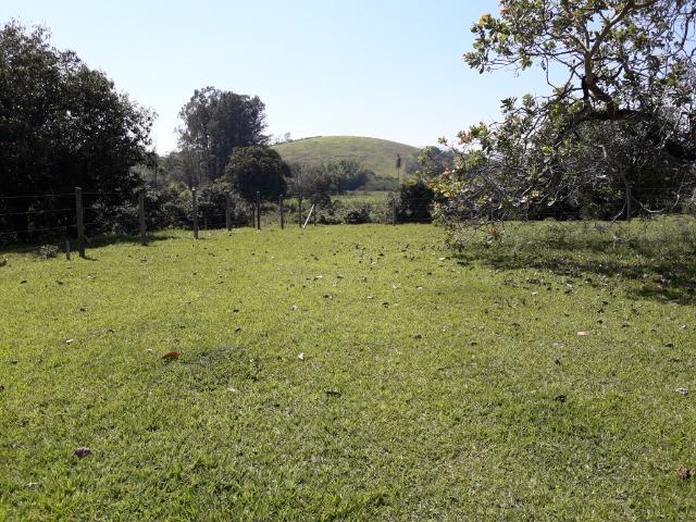 Fazendinha produtiva Cachoeiras de Macacu - Foto 11