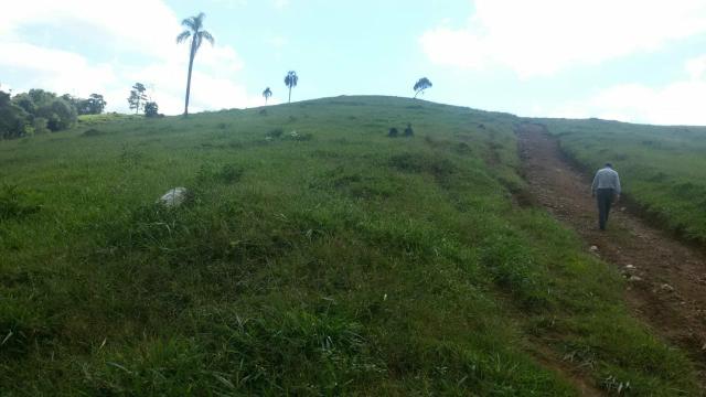 Fazenda pasto formado - Foto 8