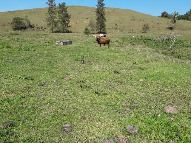 Fazendinha produtiva Cachoeiras de Macacu - Foto 13