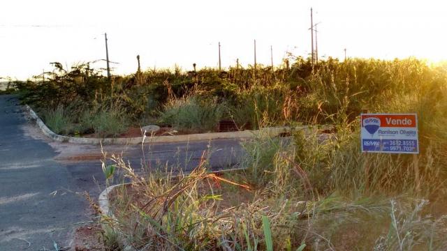 Terreno - Foto 4
