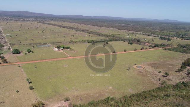 Fazenda para pecuária 185 ha santo antonio leverger - Foto 15