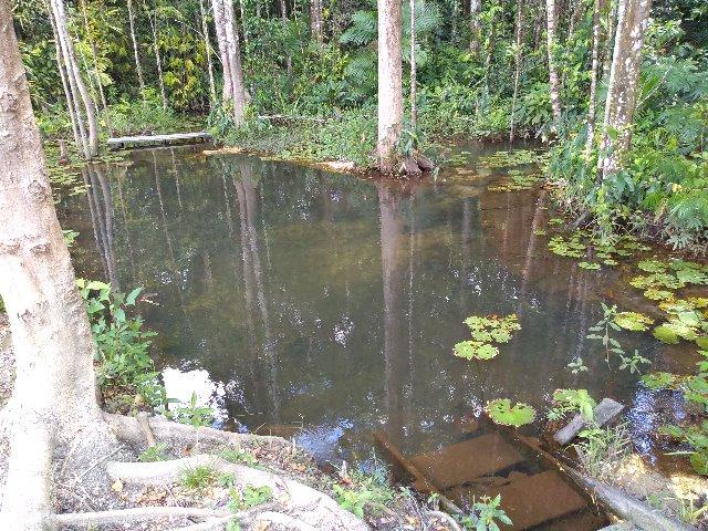 70 mil reais sito antes a Terra Alta no Pará 100x120 ,igarape ,cercado, casa zap * - Foto 8