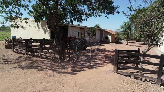 Fazenda para pecuária 185 ha santo antonio leverger - Foto 4