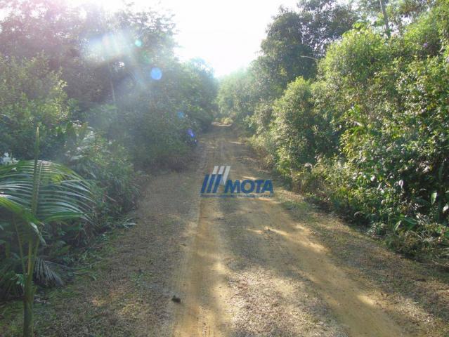 Fazenda antonina - Foto 10