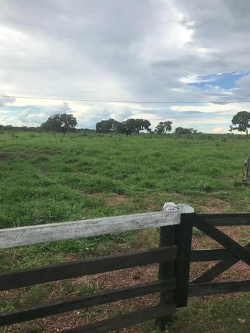 Fazenda 354,hectares - Foto 5
