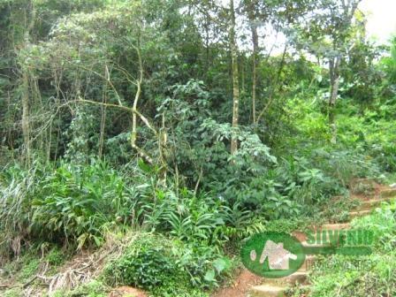 Terreno à venda em Quitandinha, Petrópolis cod:409 - Foto 6