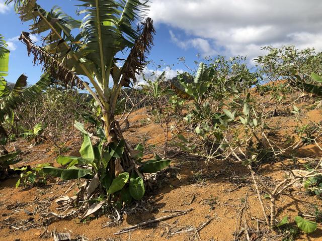 Grande oportunidade em Santa Teresa a 1,5km do asfalto - Foto 12