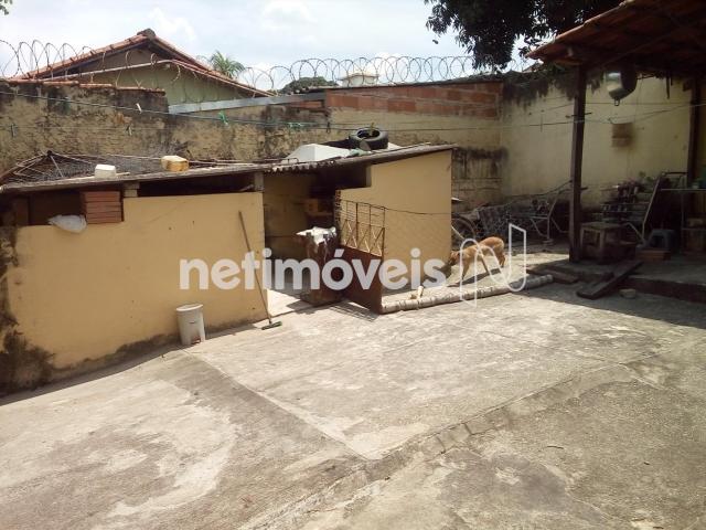 Casa à venda com 3 dormitórios em Dom cabral, Belo horizonte cod:776153 - Foto 10