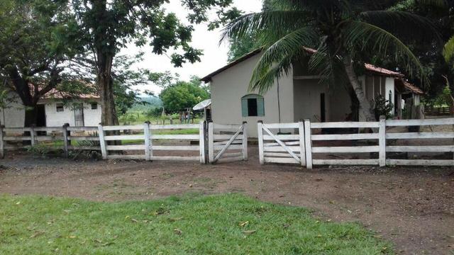 Fazenda Tocantins 1.626 ha gado pecuária soja Couto de Magalhães prox. Guaraí Palmas - Foto 10