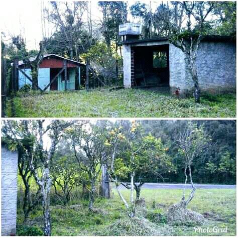 Terreno em Vale Real - Foto 2